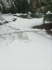 Terreno en Achibueno — miniatura 3