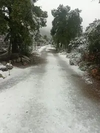 Terreno en Achibueno — miniatura 6