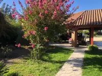 Parcela de 5.000 m² con casa, piscina y quincho en Isla de Maipo — miniatura 12
